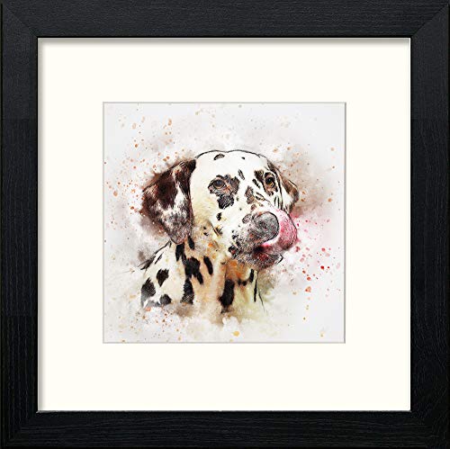 Dalmation in Black Wood frame, premium wall art print
