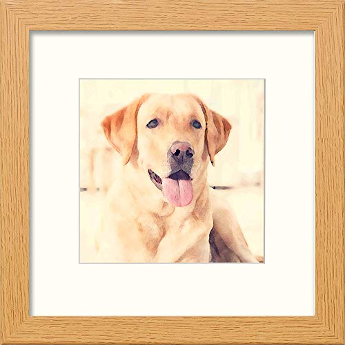 L Lumartos Labrador