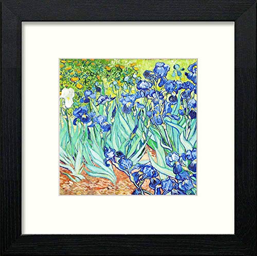 Vintage Van Gogh Irises in Black Wood frame, premium wall art print