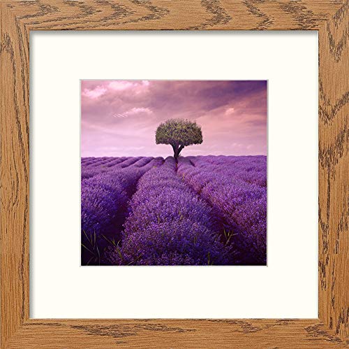 L Lumartos Lavendar Field