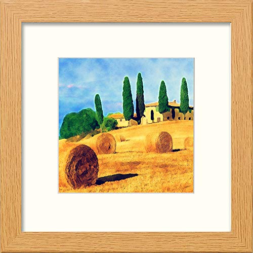 L Lumartos Tuscan Field