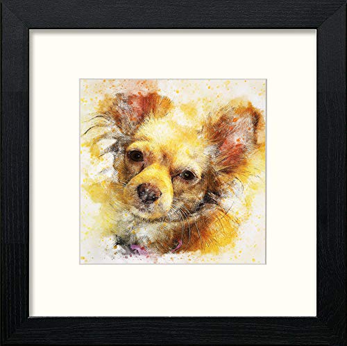 Chihuahua in Black Wood frame, premium wall art print