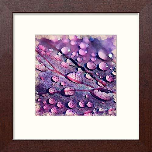 L Lumartos Leaf Droplets