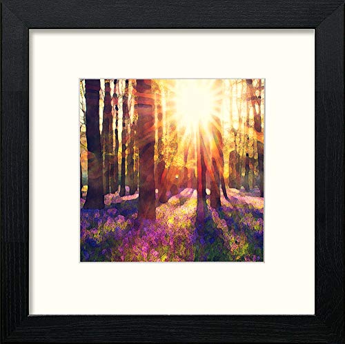 Dusty Bluebells in Black Wood frame, premium wall art print