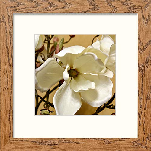 L Lumartos Orchids