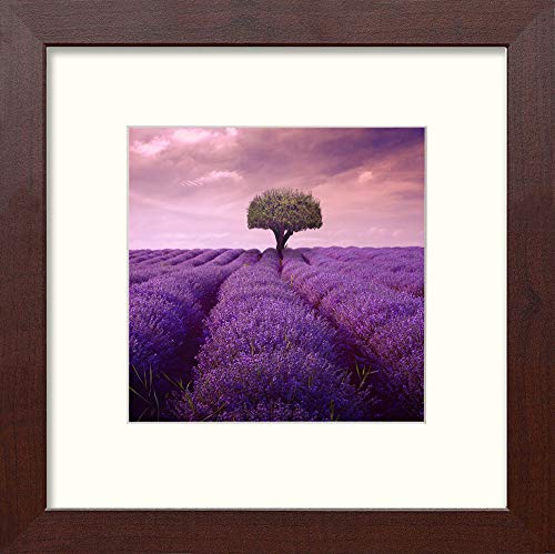 L Lumartos Lavendar Field