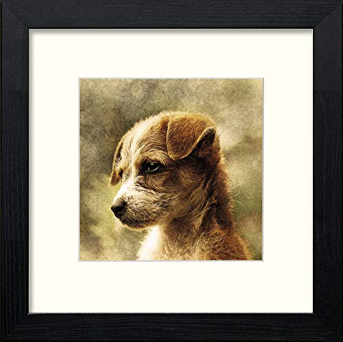 How Cute Am I in Black Wood frame, premium wall art print