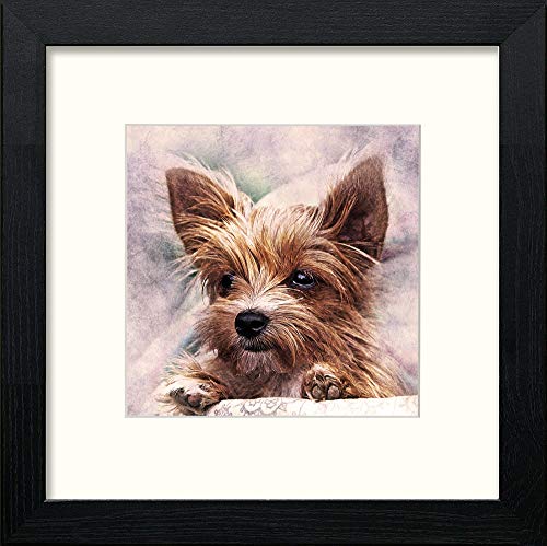Tiny Terrier in Black Wood frame, premium wall art print