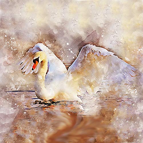L Lumartos Swan Lake