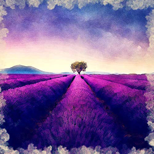 L Lumartos Lavendar Nights
