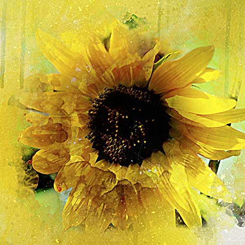 L Lumartos Sunflowers