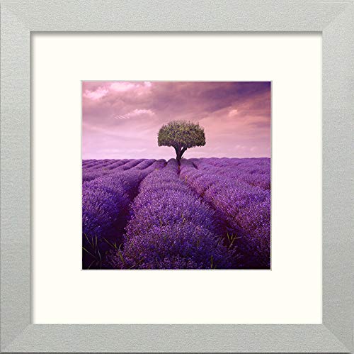 L Lumartos Lavendar Field