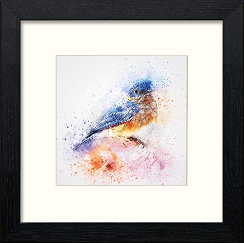 Garden Blue Bird in Black Wood frame, premium wall art print