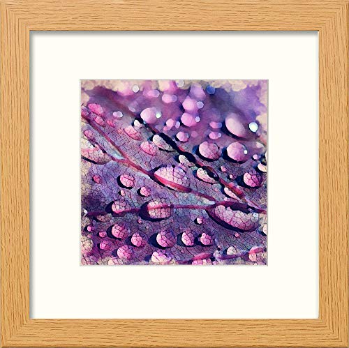 L Lumartos Leaf Droplets