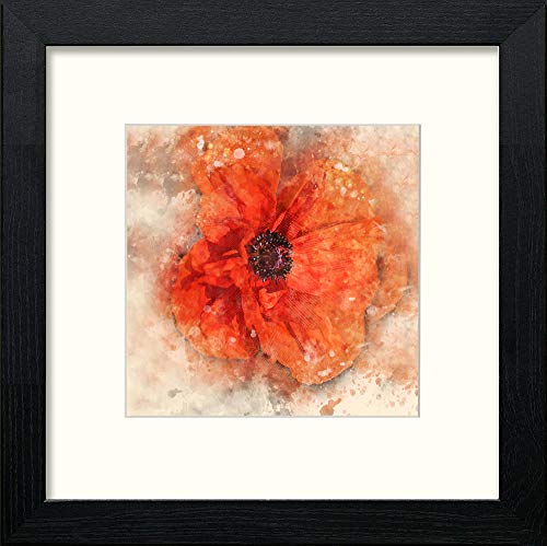 Single Red Poppy in Black Wood frame, premium wall art print
