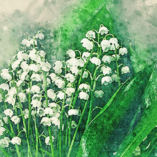 L Lumartos White Wild Flowers
