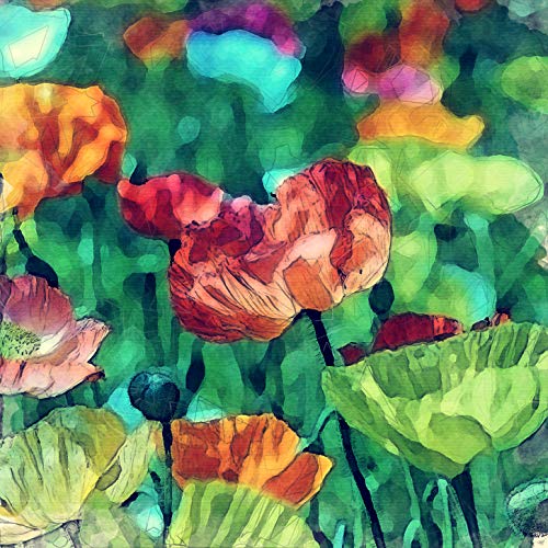 L Lumartos Vintage Proud Poppies