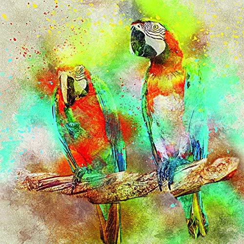 L Lumartos Macaw