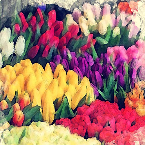 L Lumartos Vintage Tulipa At Market