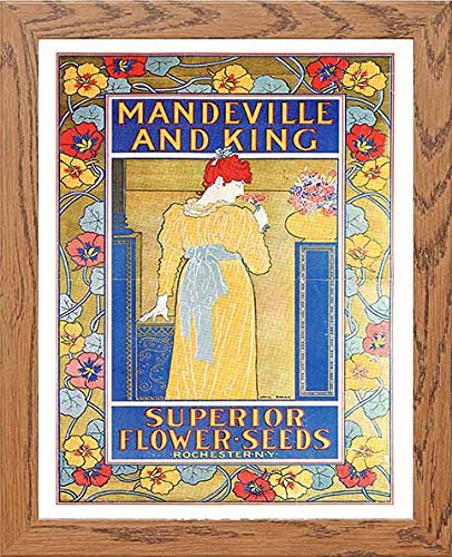 Vintage Poster Mandeville And King Superior Flower Seeds in Wood frame, premium wall art print
