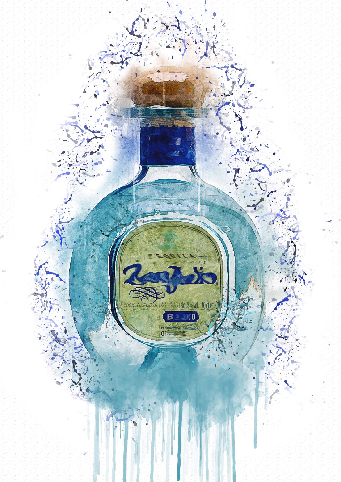 Don Tequila Splash Print in A4 frame, premium wall art print
