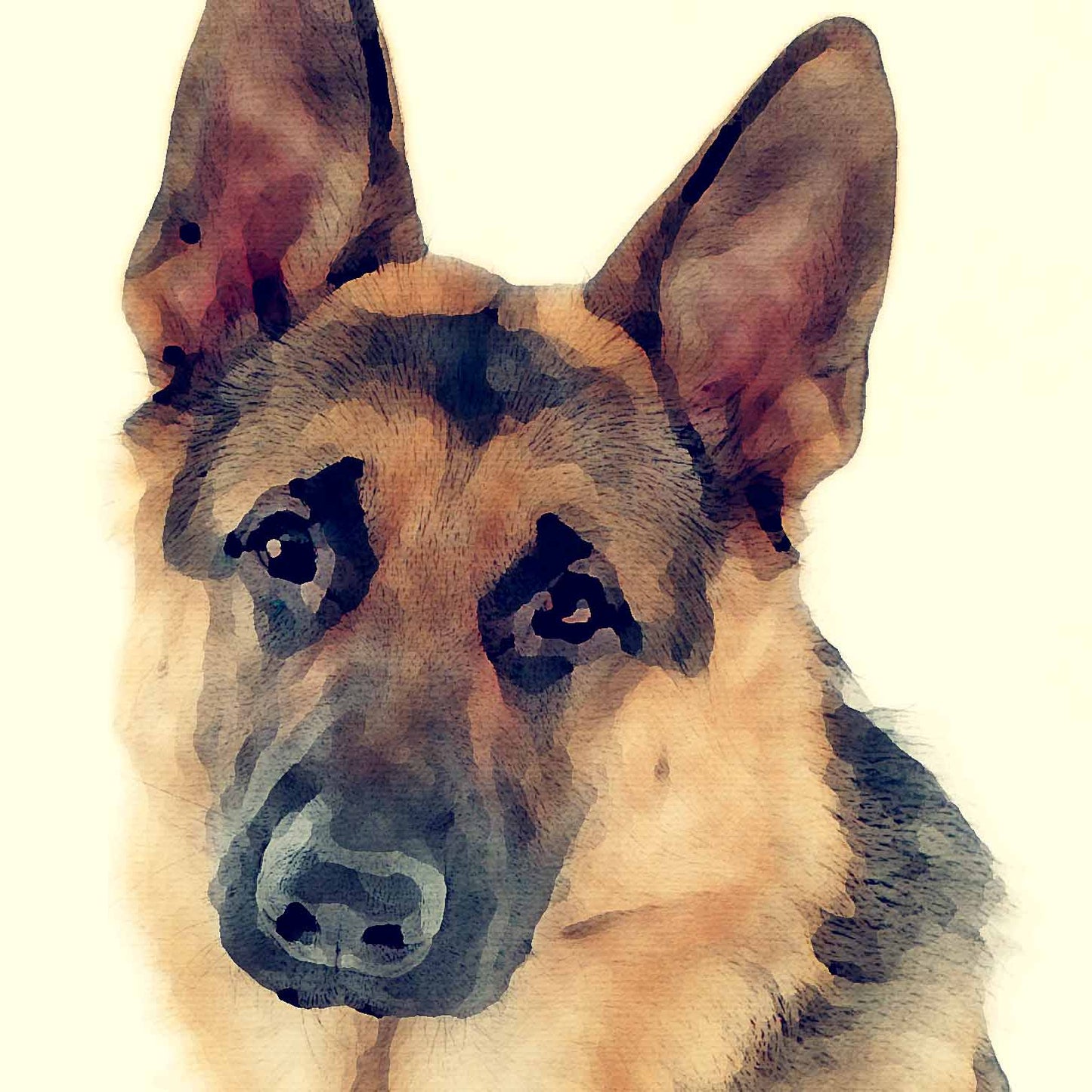 L Lumartos German Shepherd 0275