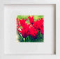 Vintage Floral Star Red in White frame, premium wall art print
