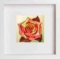 Vintage Ink Sketch Rose in White frame, premium wall art print