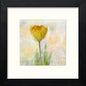 Yellow Poppy in Black Wood frame, premium wall art print