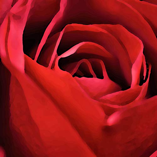 L Lumartos Vintage Red Red Rose