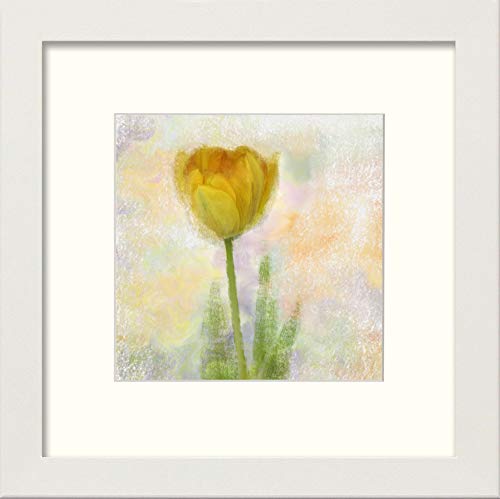 L Lumartos Yellow Poppy