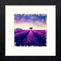 Lavendar Nights in Black Wood frame, premium wall art print