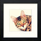 Bengal Cat in Black Wood frame, premium wall art print