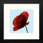 Stunning Poppy in Black Wood frame, premium wall art print