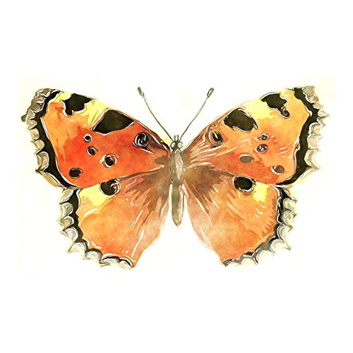 L Lumartos Papillon