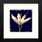 White Flower in Black Wood frame, premium wall art print