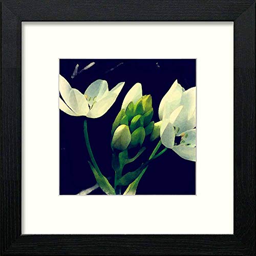 Vintage Iris in Black Wood frame, premium wall art print