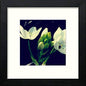 Vintage Iris in Black Wood frame, premium wall art print