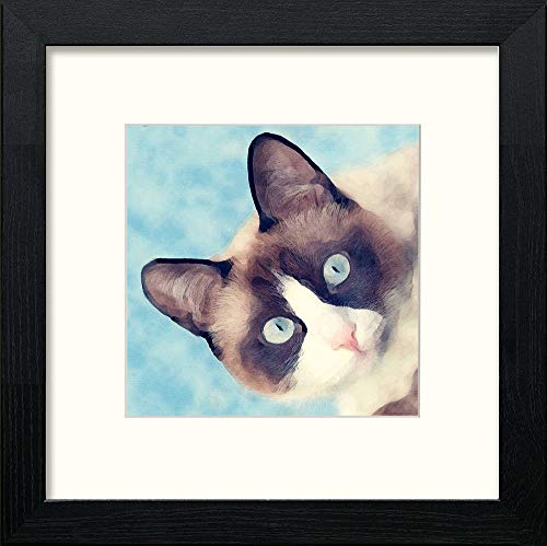 Siamese Cat in Black Wood frame, premium wall art print