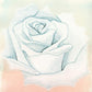 L Lumartos White Rose