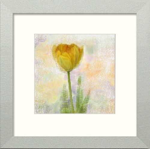 L Lumartos Yellow Poppy