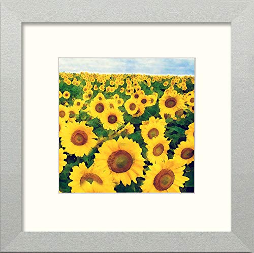 L Lumartos Dordoigne Sunflowers