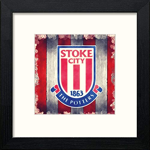 L Lumartos Stoke FC Badge