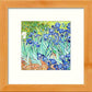 L Lumartos Vintage Van Gogh Irises