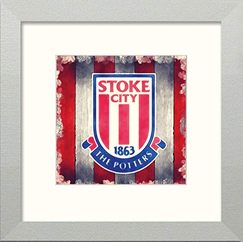 L Lumartos Stoke FC Badge