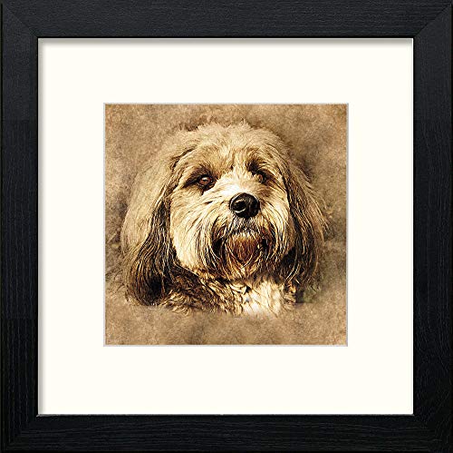 Little Terrier in Black Wood frame, premium wall art print