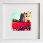 London Tower Of London Poppies 121 in White frame, premium wall art print
