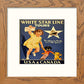 L Lumartos Vintage White Star Poster
