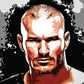 L Lumartos WWE Raw Randy Orton 237