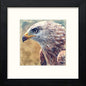 Eagle in Black Wood frame, premium wall art print